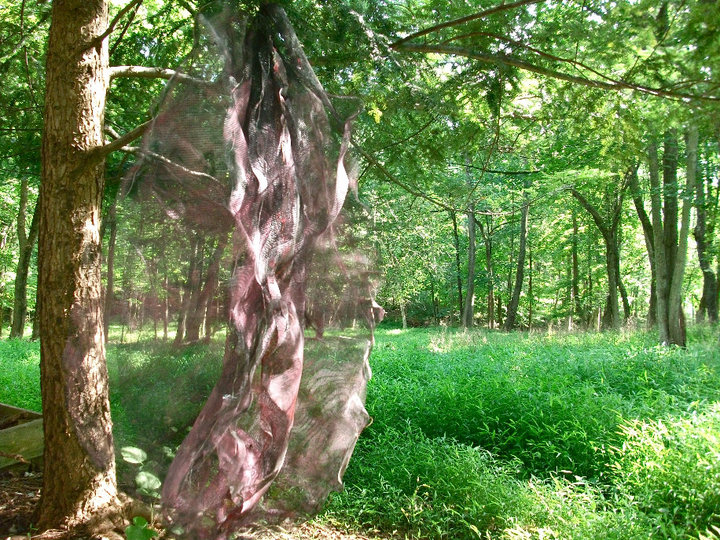 Wire mesh, acrylic paint